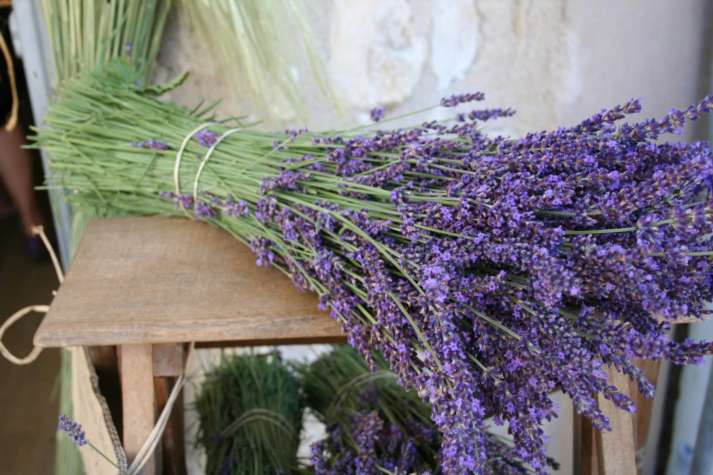Bouquet de lavande sur un banc en bois